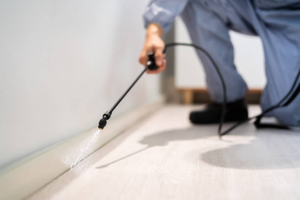 Licensed Pest Control service in Hilliard, OH - Show Me Pest Control