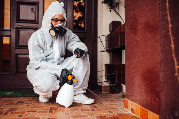 Reliable Ant Control contractor in Hilliard, OH by Show Me Pest Control